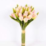 20*35CM Mini tulip*24 bouquet GS-3720018-P1