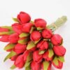 20*35CM Mini tulip*24 bouquet GS-3720018-R1