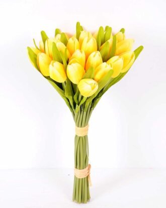 20*35CM Mini tulip*24 bouquet GS-3720018-Y1
