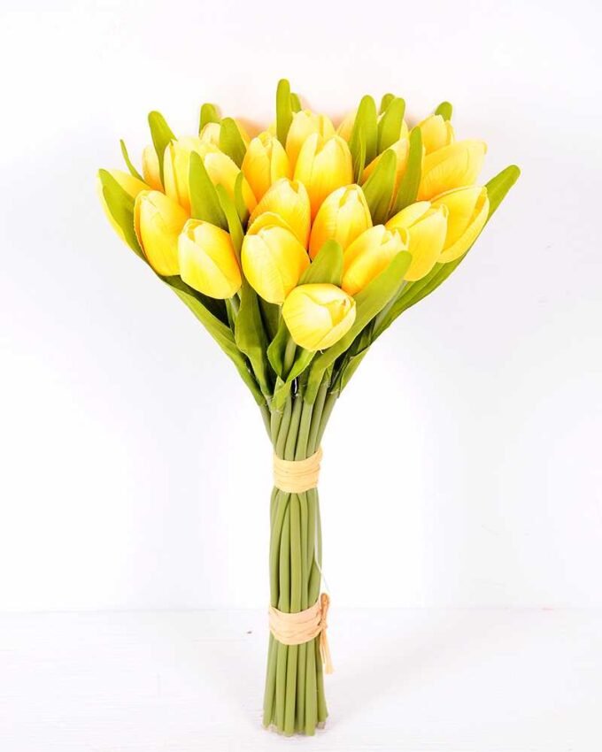 20*35CM Mini tulip*24 bouquet GS-3720018-Y1