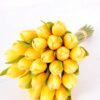 20*35CM Mini tulip*24 bouquet GS-3720018-Y1