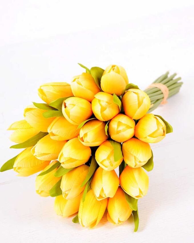20*35CM Mini tulip*24 bouquet GS-3720018-Y1