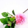 16*38cm Single Camellia GS-3750008