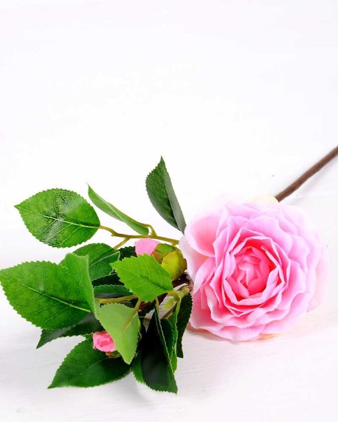 16*38cm Single Camellia GS-3750008