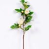 18*64cm Single Camellia GS-3750012