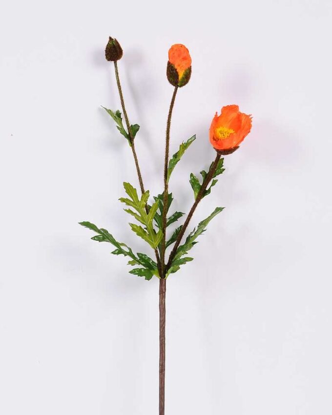 15*75cm poppy*3 GS-3750013