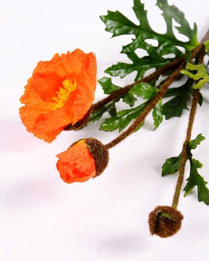 15*75cm poppy*3 GS-3750013