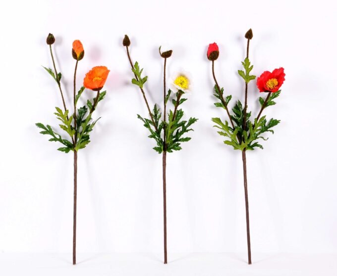 15*75cm poppy*3 GS-3750013