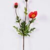 15*75cm poppy*3 GS-3750013