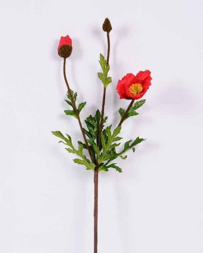 15*75cm poppy*3 GS-3750013