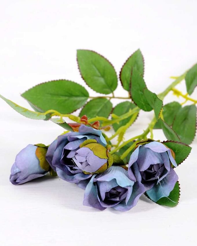 14*44CM Camellia*5 (Autumn) GS-3750015-B1