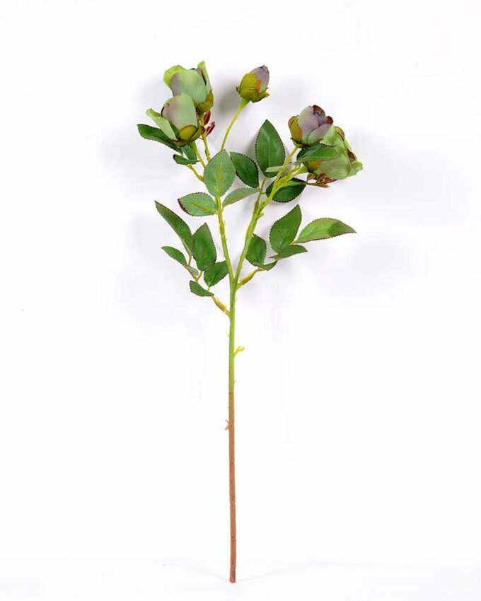 14*44CM Camellia*5 (Autumn) GS-3750015-G1