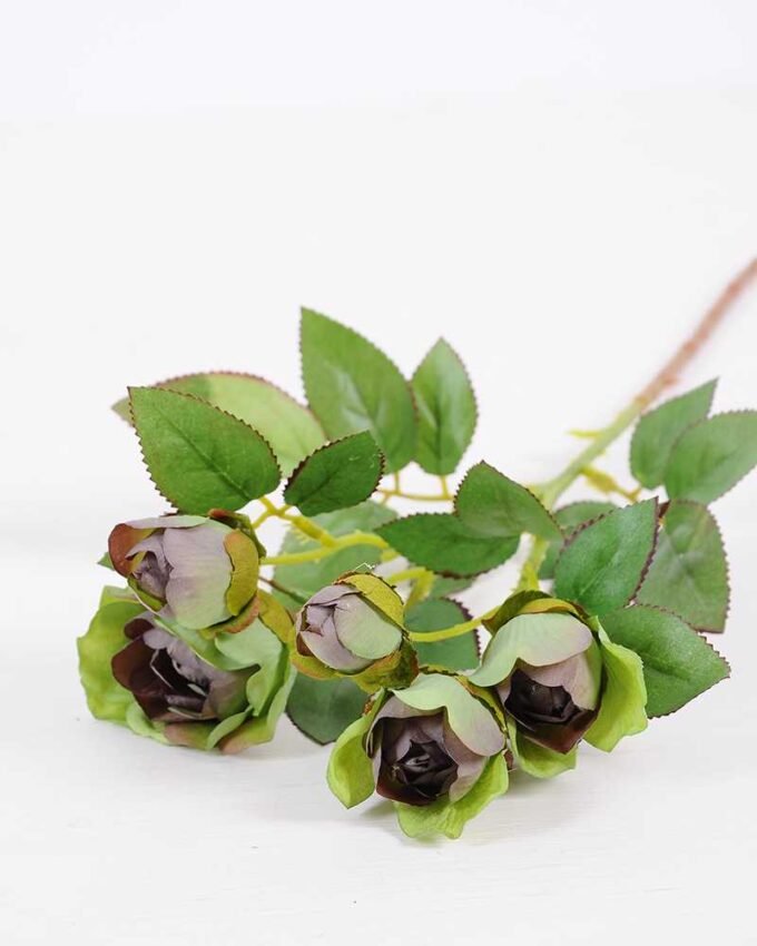 14*44CM Camellia*5 (Autumn) GS-3750015-G1