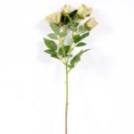 14*44CM Camellia*5 (Autumn) GS-3750015-G2