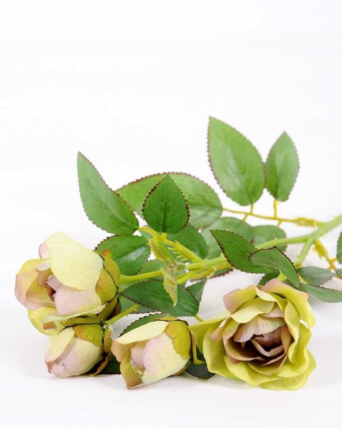 14*44CM Camellia*5 (Autumn) GS-3750015-G2 2 14*44CM Camellia*5 (Autumn) GS-3750015-G2