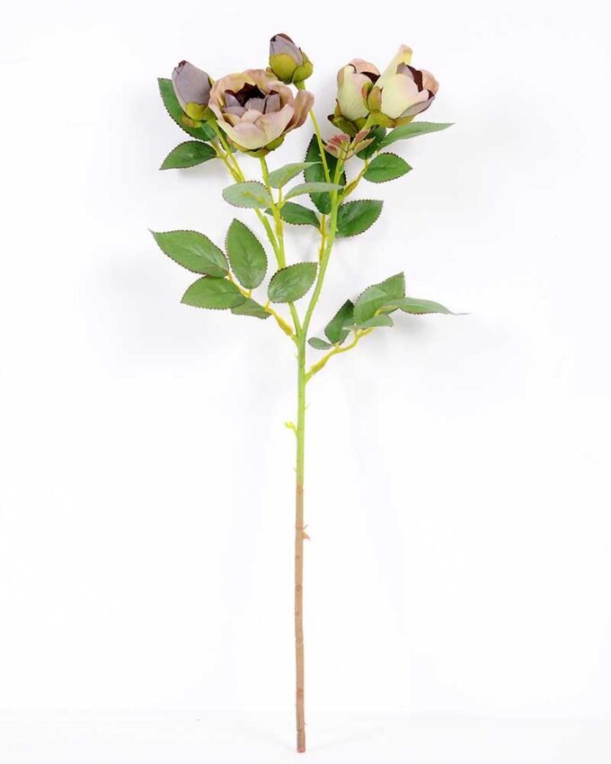 14*44CM Camellia*5 (Autumn) GS-3750015-G3