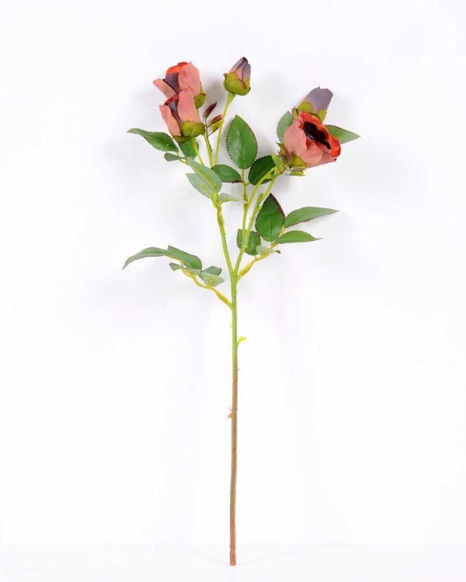 14*44CM Camellia*5 (Autumn) GS-3750015-S1