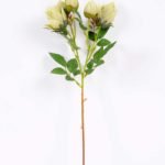 10*44CM SINGLE CAMELLIA SPRAY*5(AUTUMN) GS-3750016-G2