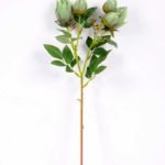10*44CM SINGLE CAMELLIA SPRAY*5(AUTUMN) GS-3750016-G3
