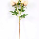 10*44CM SINGLE CAMELLIA SPRAY*5(AUTUMN) GS-3750016-Y1