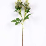 16*45CM CAMELLIA SPRAY*5(AUTUMN) GS-3750017-G1