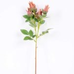 16*45CM CAMELLIA SPRAY*5(AUTUMN) GS-3750017-R1
