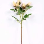 16*45CM CAMELLIA SPRAY*5(AUTUMN) GS-3750017-Y1