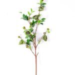 20*118CM SINGLE CAMELLIA (AUTUMN) GS-3750018-G2