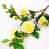 20*118CM SINGLE CAMELLIA( SPRING) GS-3750019