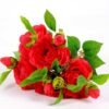 22*31CM CAMELLIA BUSH GS-3750020-R1