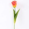 8*58cm Single tulip GS-3770002-O1