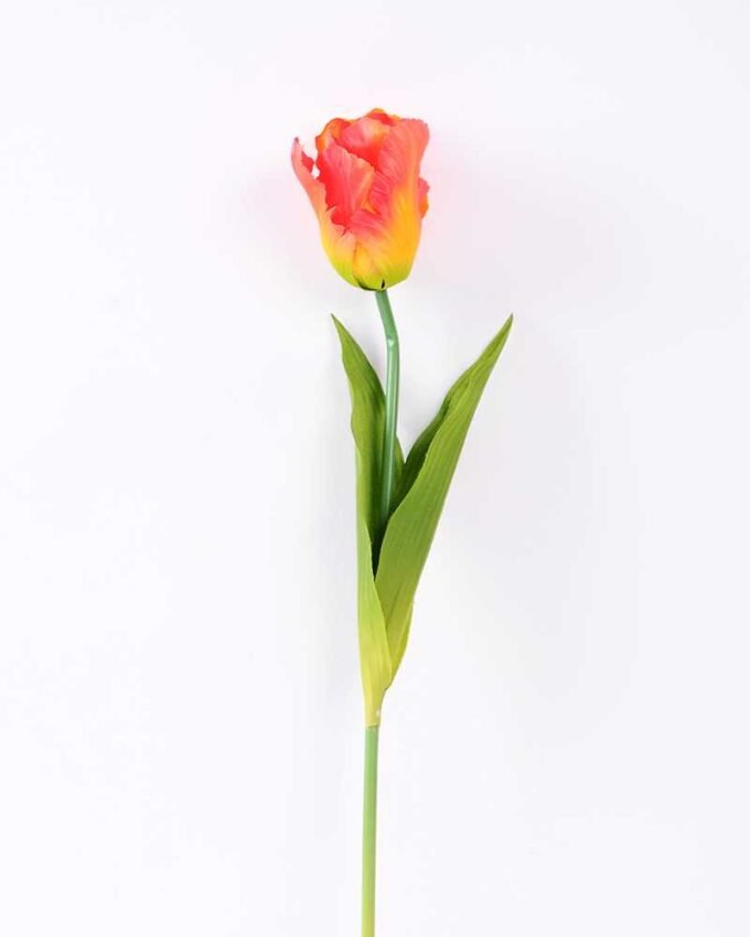 8*58cm Single tulip GS-3770002-O1