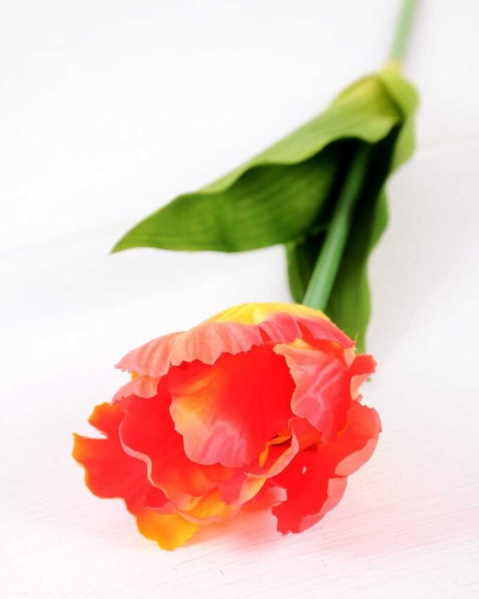 8*58cm Single tulip GS-3770002-O1