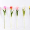 8*58cm Single tulip GS-3770002-O1