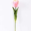 8*58cm Single tulip GS-3770002-P1