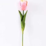 8*58cm Single tulip GS-3770002-P1