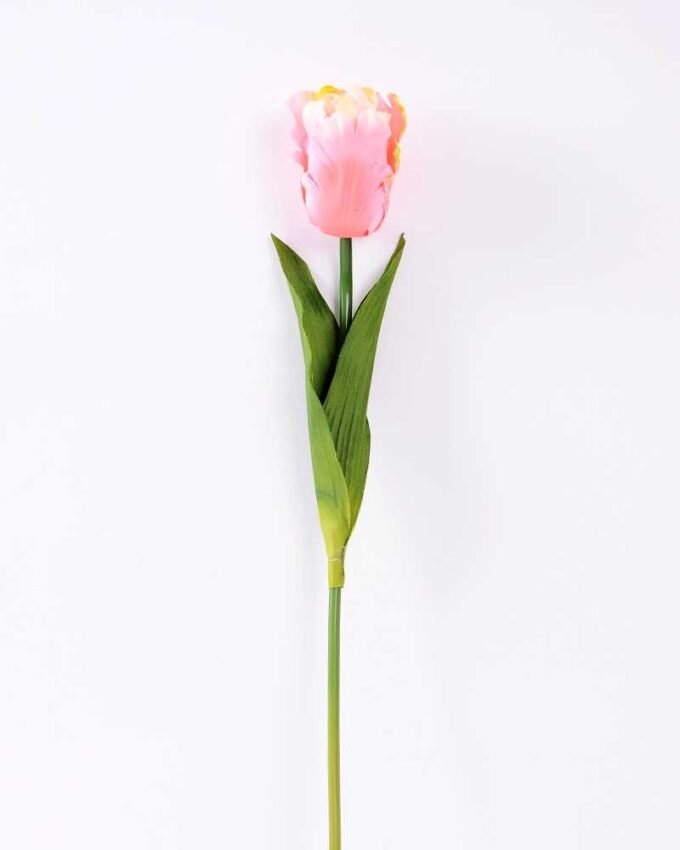 8*58cm Single tulip GS-3770002-P1