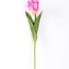 8*58cm Single tulip GS-3770002-P2