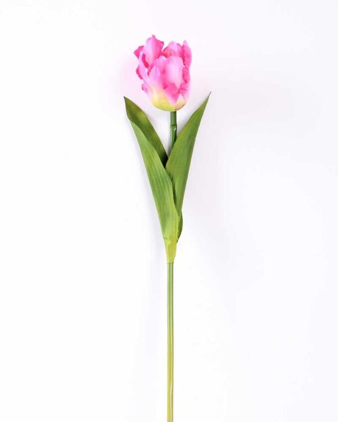 8*58cm Single tulip GS-3770002-P2
