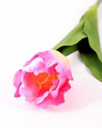 8*58cm Single tulip GS-3770002-P2