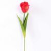 8*58cm Single tulip GS-3770002-R1