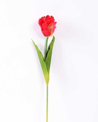 8*58cm Single tulip GS-3770002-R1