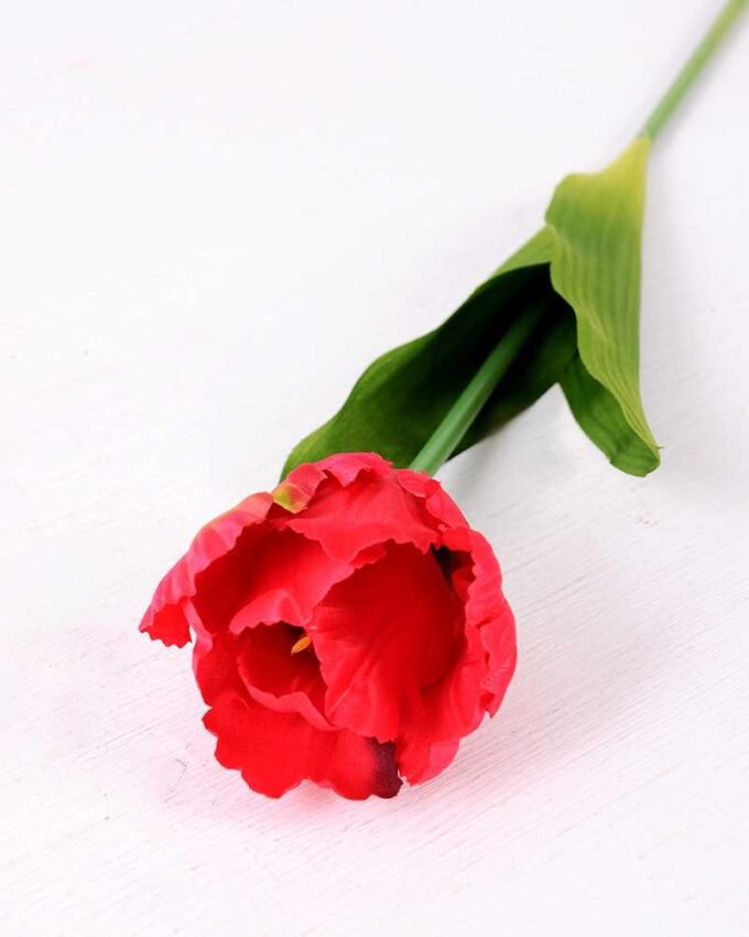 8*58cm Single tulip GS-3770002-R1