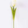 8*58cm Single tulip GS-3770002-W1