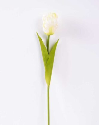 8*58cm Single tulip GS-3770002-W1