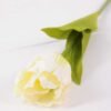 8*58cm Single tulip GS-3770002-W1