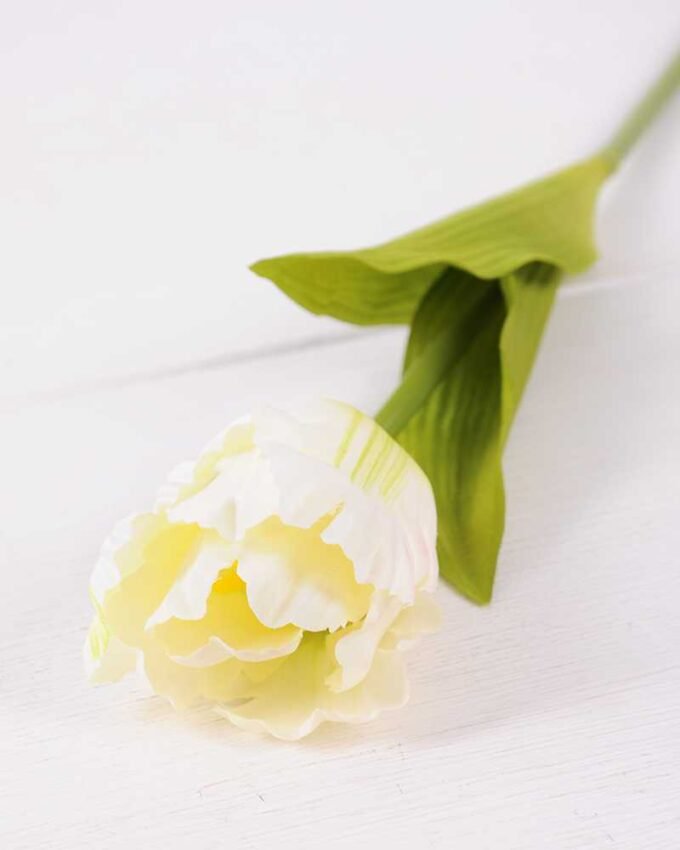 8*58cm Single tulip GS-3770002-W1