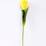 8*58cm Single tulip GS-3770002-Y1