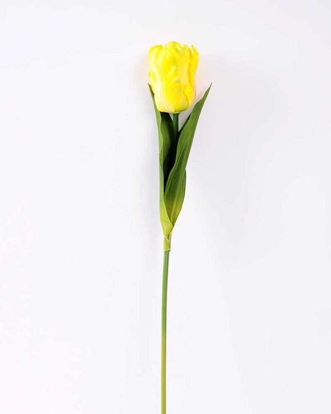8*58cm Single tulip GS-3770002-Y1