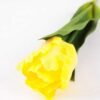 8*58cm Single tulip GS-3770002-Y1